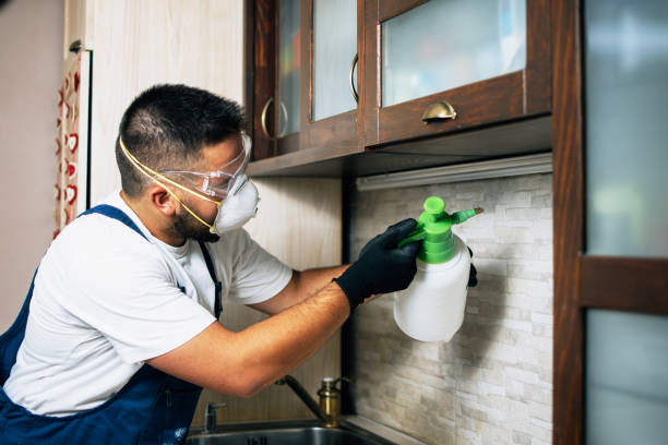 Best Pest Removal Services  in Warsaw, MO