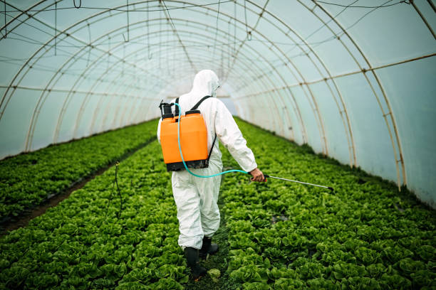 Best Commercial Pest Control Services  in Warsaw, MO