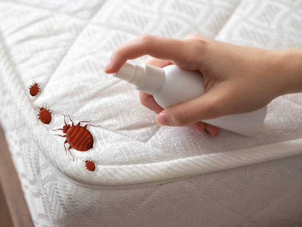 Best Bed Bug Extermination  in Warsaw, MO