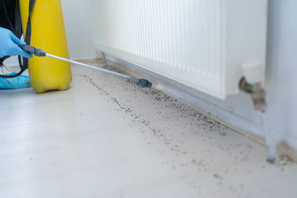 Best Pest Prevention Services  in Warsaw, MO