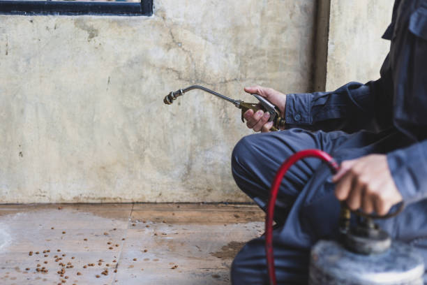 Best Mosquito Control Services  in Warsaw, MO